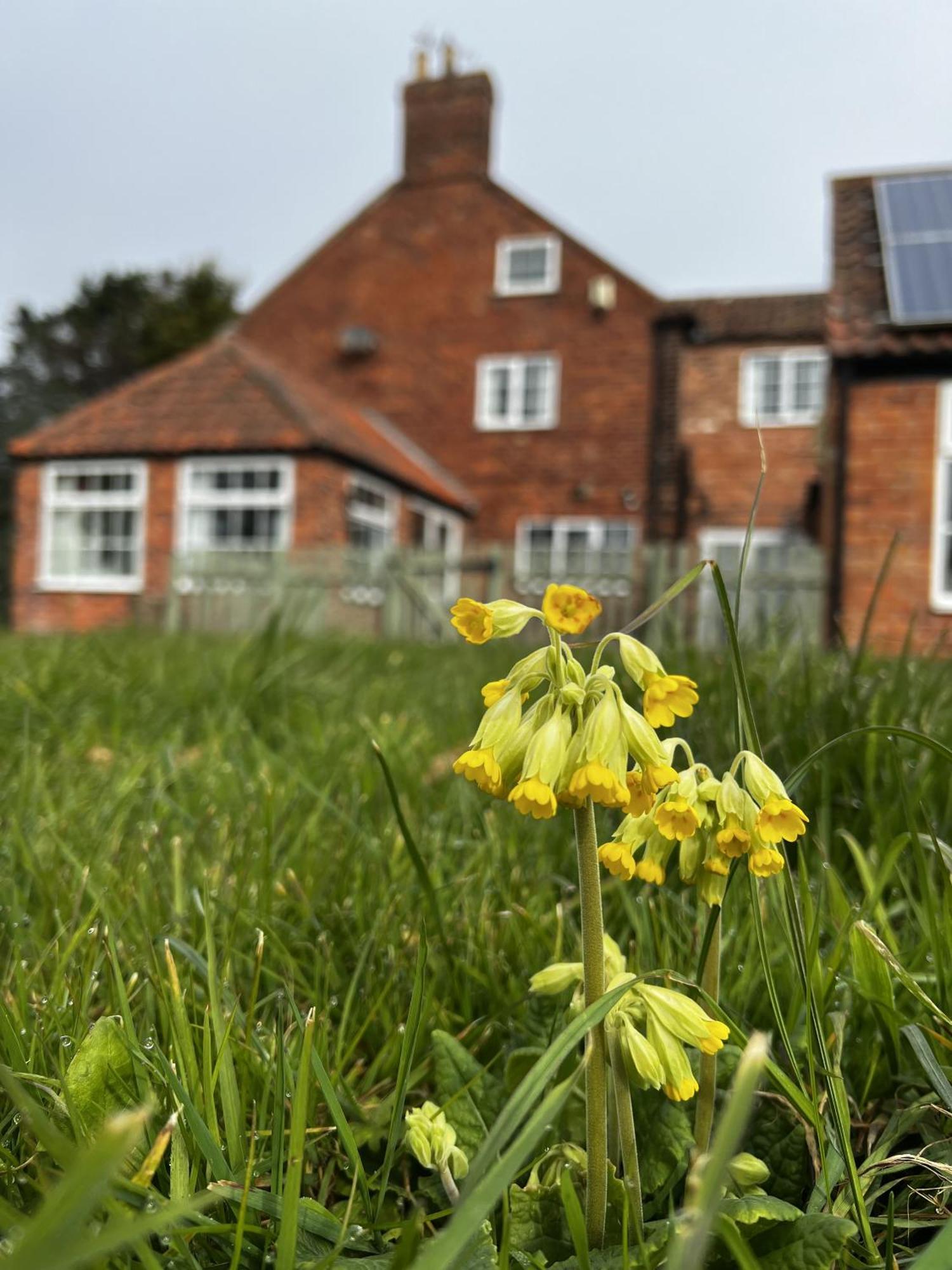 Wellbet Farm Hotel Swinderby Exterior photo